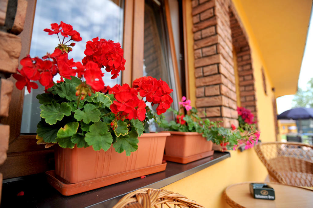 Penzion Anesis - Apartmány Turčianske Teplice Exterior foto